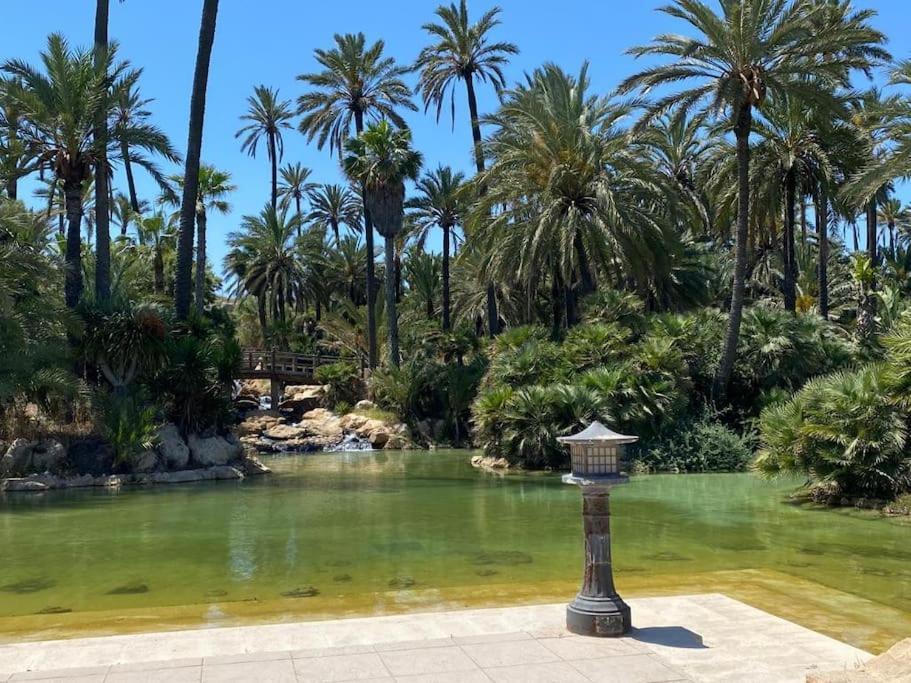 Carpediem Apart Terraza-Atico Alicante Center Ngoại thất bức ảnh